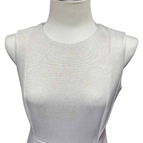 Calvin Klein Sleeveless Sheath Dress Oat 8 - Picture 2 of 7